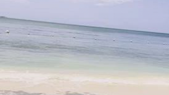 Beautiful day for some beach fun