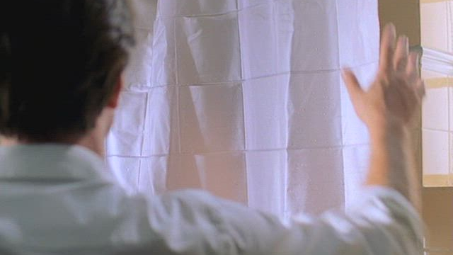 Debra Messing - The Wedding Date (2005)