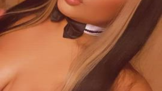 Bimbo bunny