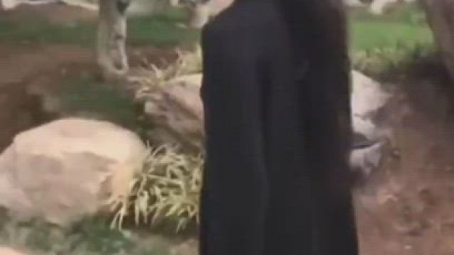 Asian girl in the park [GIF]