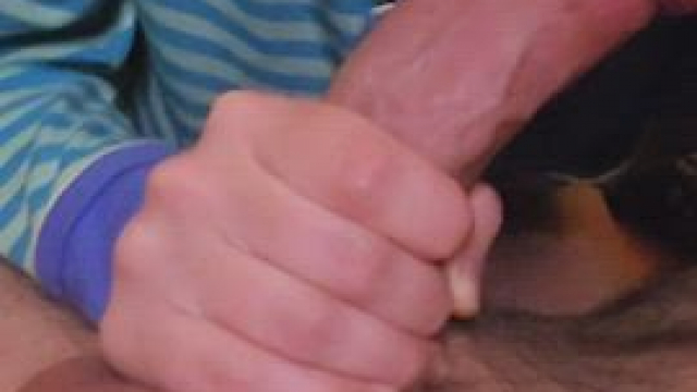 I love sucking huge cocks