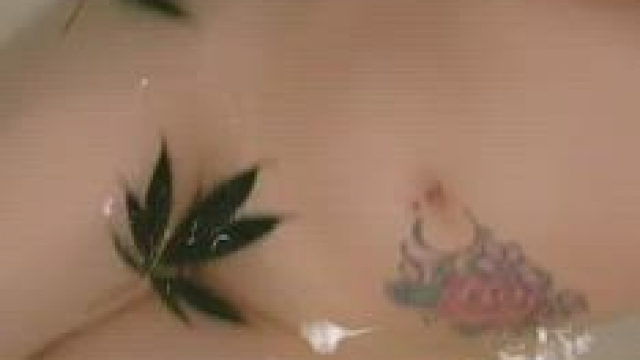 Pussy and plants!