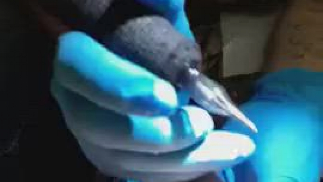 Miami ink 2022 :p