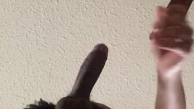Who Likes Chocolate
