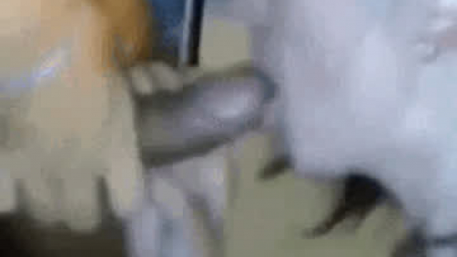 Prom queen love cum