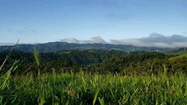 Hilltop Stroll