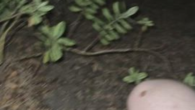 one of my favourite things is being fucked like a whore in public, this one was 