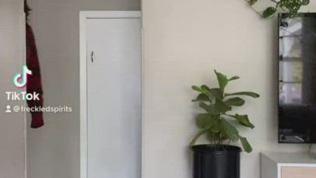 A TikTok