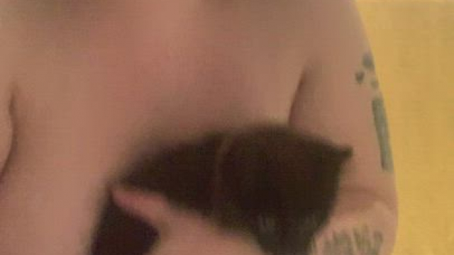 Do you like my cat