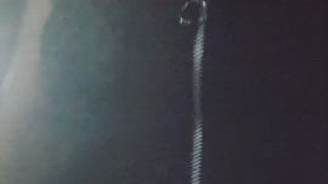 Just a Canadian girl on her late night walk [GIF]