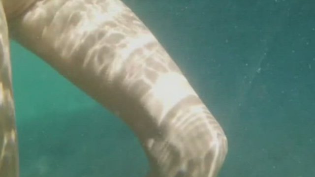 Blonde Nancy Ace masturbating and peeing in a sea (1 minute)