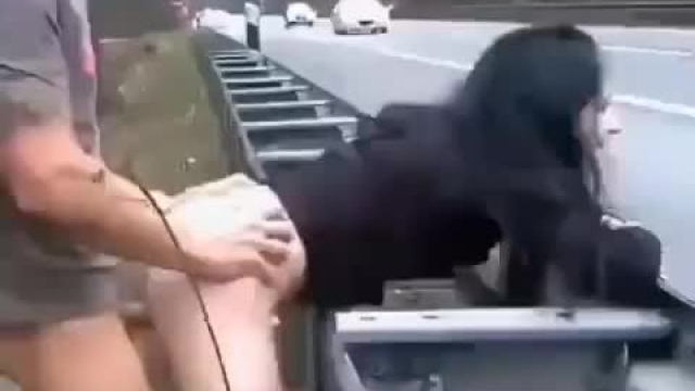 Life is a highway
