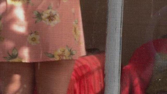 Check out the mom next door! I always knew she was a freak... [F] MILF this is f