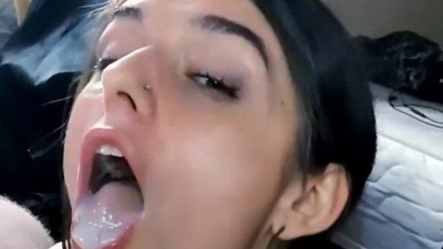Always lickin' [oc]