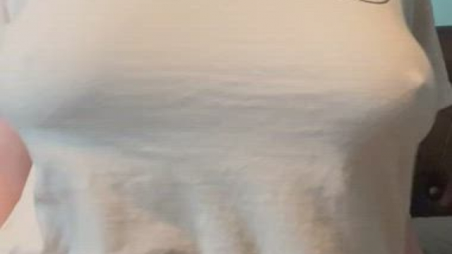 Are birds real?