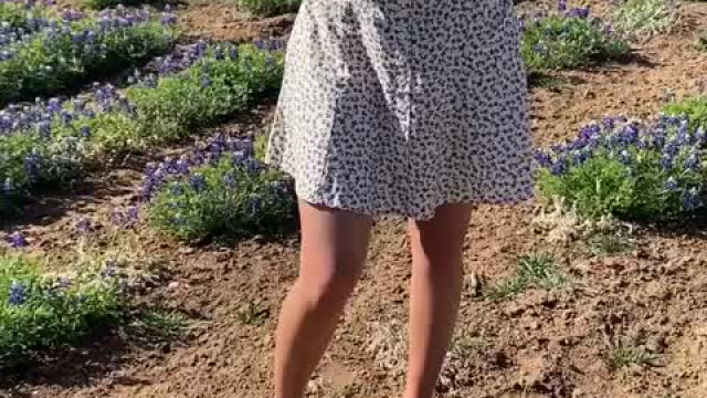 Such a pretty field of flowers. Just had to pull over and flash in it