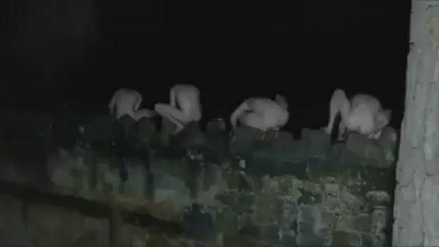 Leaping Frogs