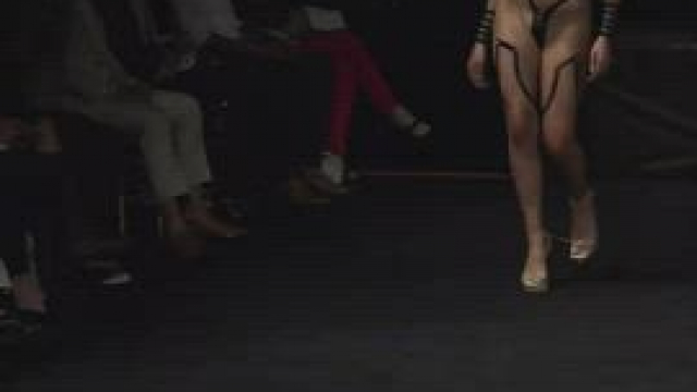 cat walk bouncing