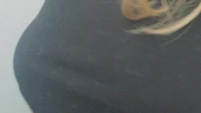 My quick titty drop