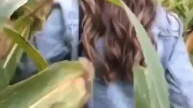 Out Fuck