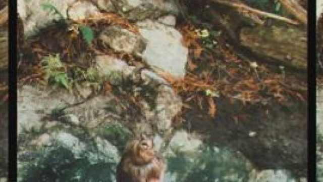 Hot springs panty peel