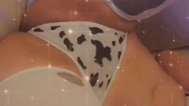 Moo! 