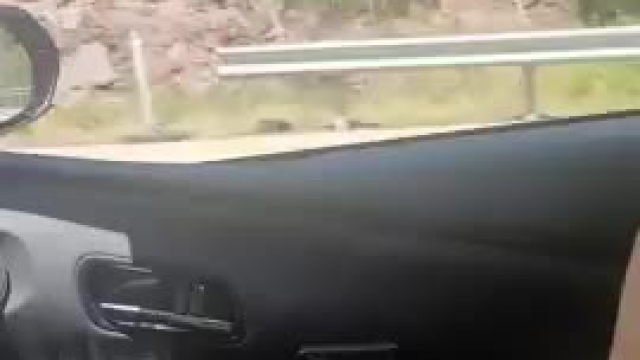 Made sure he got a good look.