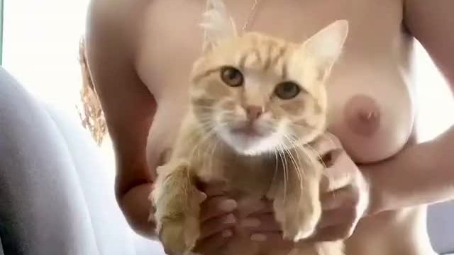 They say that two things are most loved on Reddit: they are boobs and cats!)??