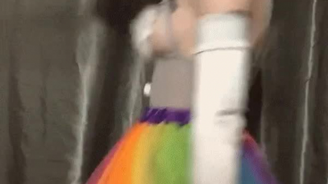 Clowncats love to play!