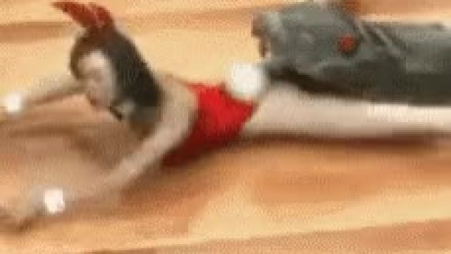 Bunny Vs Snake