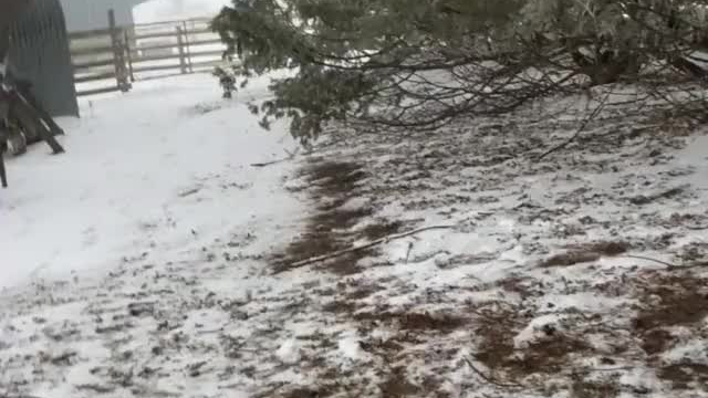 Sucking dick out in the cold [GIF]