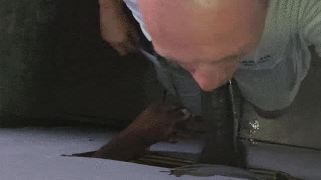 BBC Slut Gloryhole Training