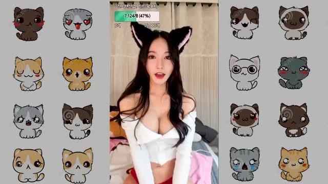 Cat ears!!