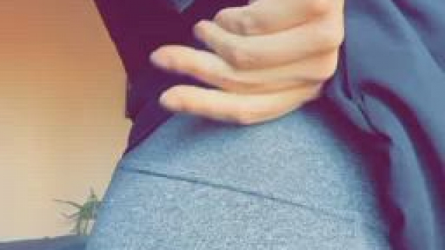 Yoga Pants