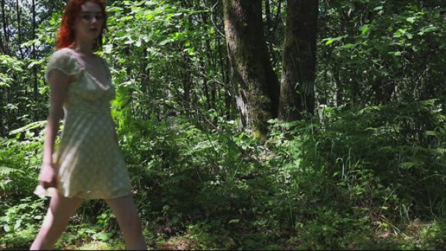 lost in the woods