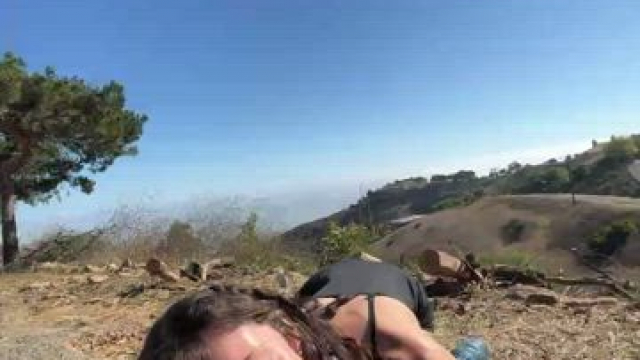 best picnic ever
